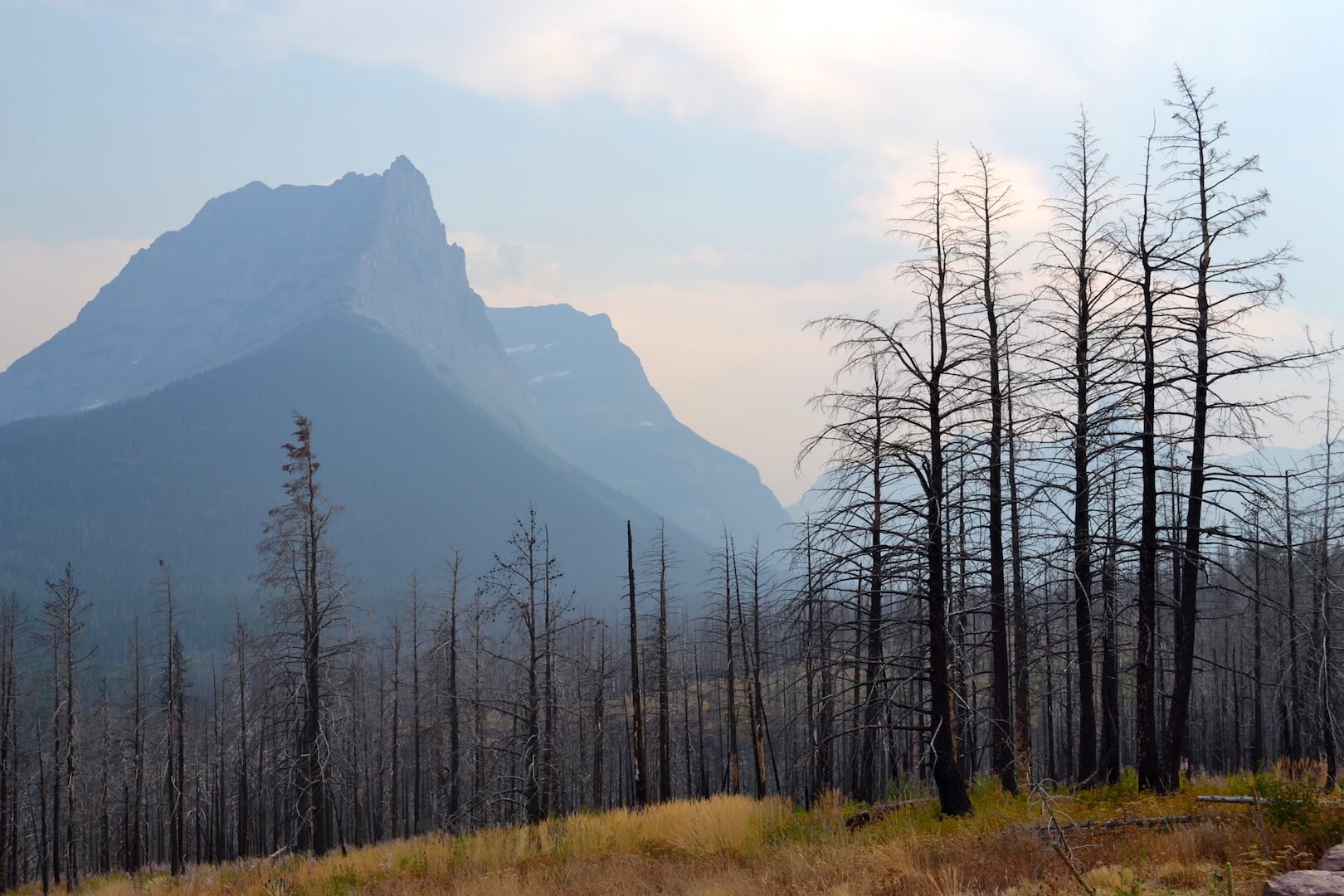 A mountain and trees