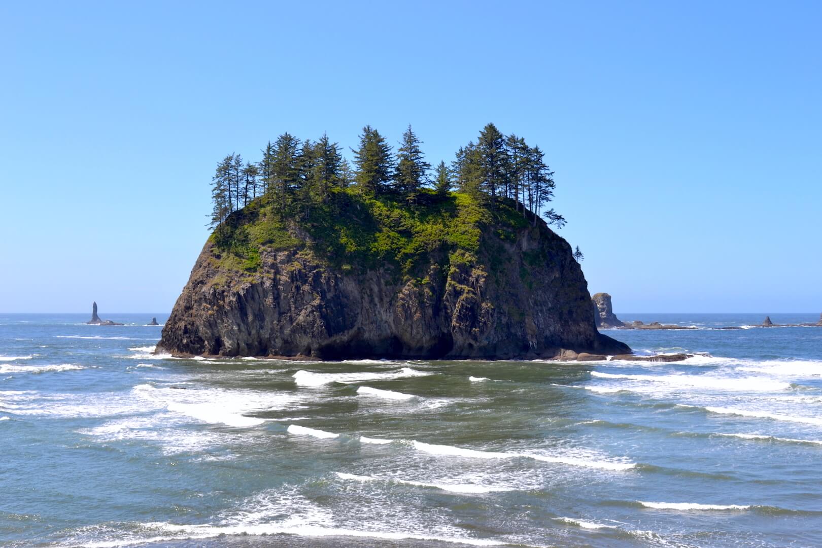 Islands off the coast of Olympic National Park