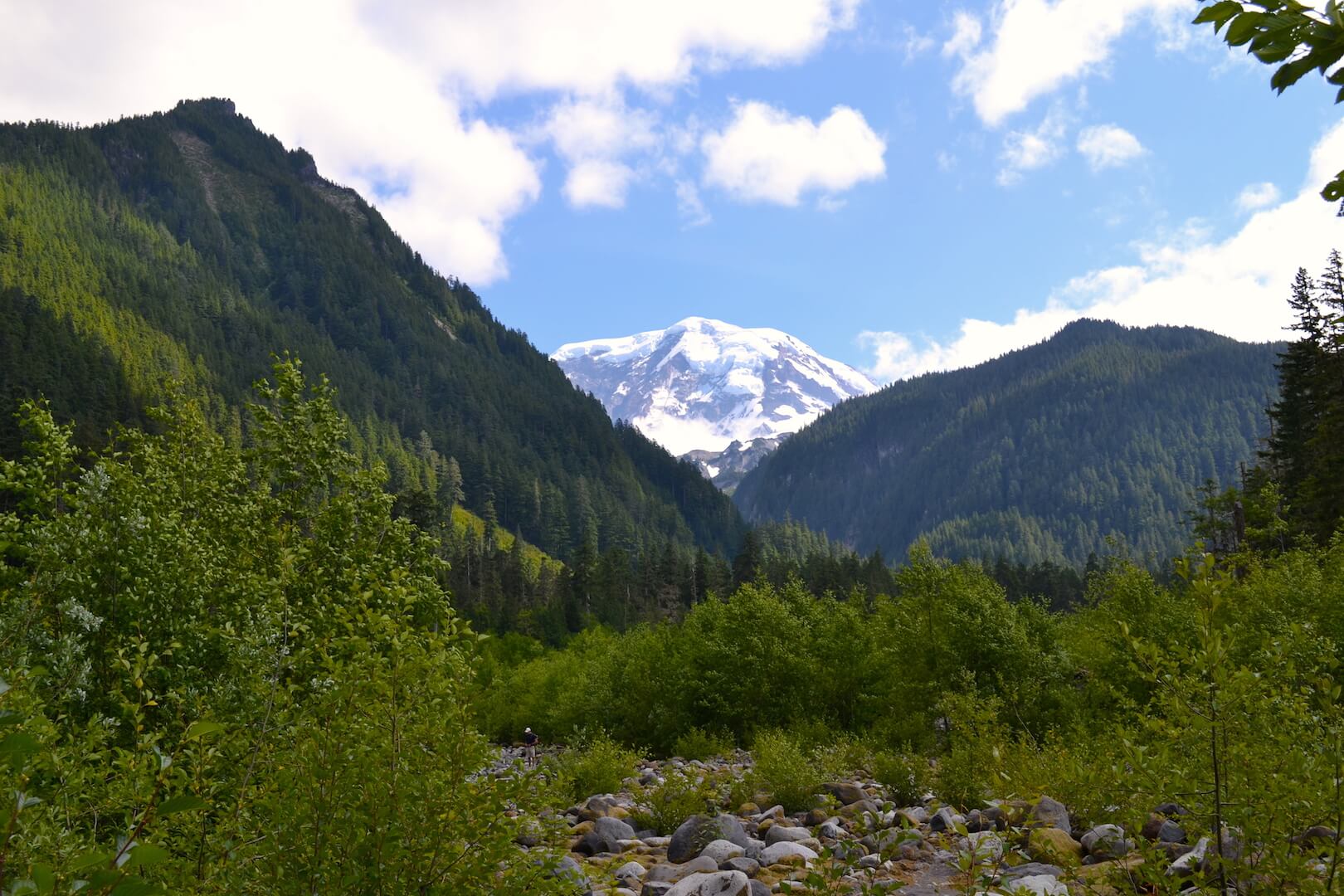 Mount Rainier from a distance