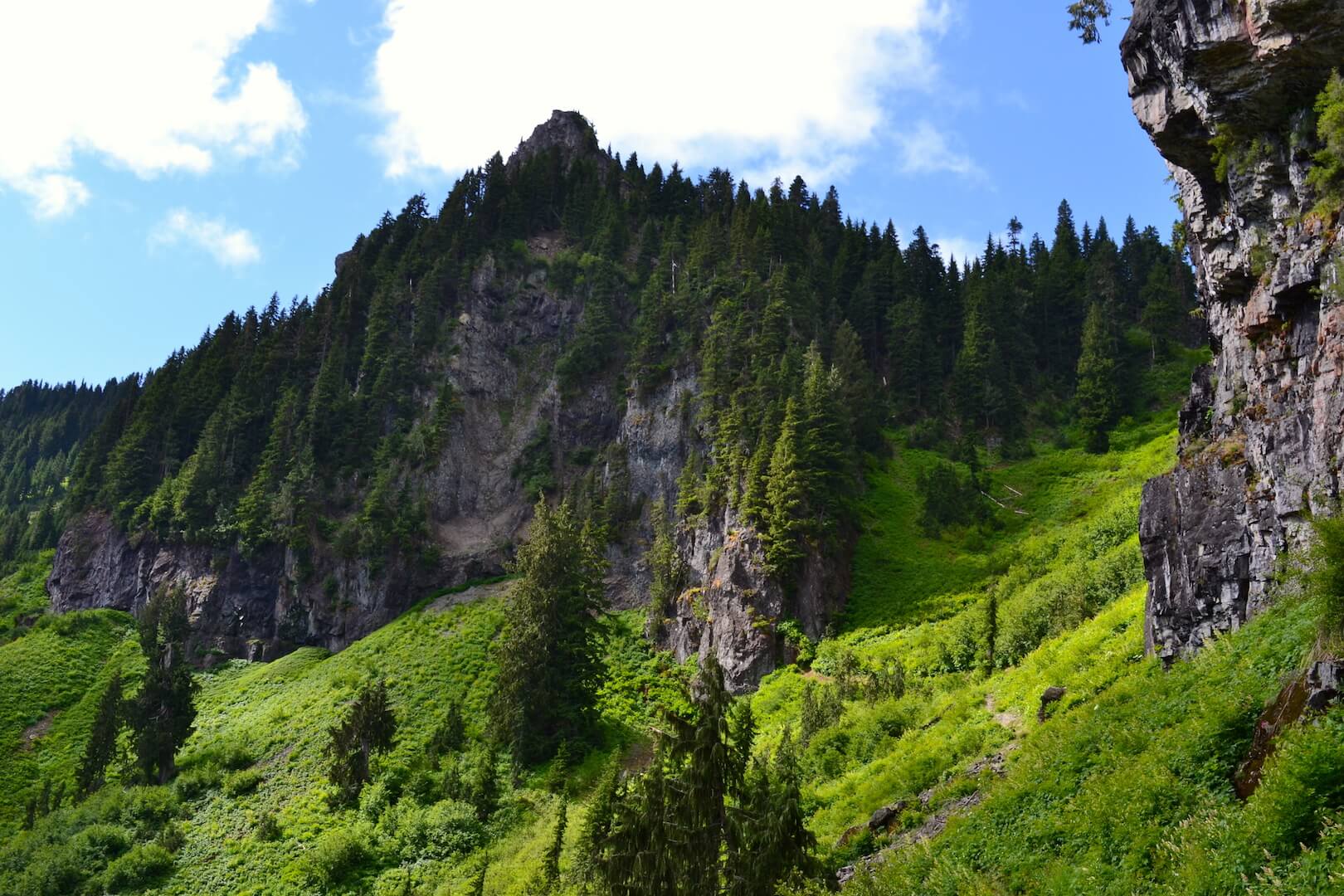 Bright green on the mountain side